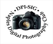 DPI-SIG-Logo.jpg